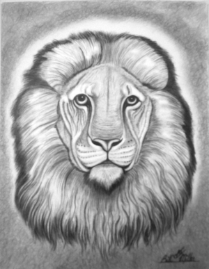 The Lion